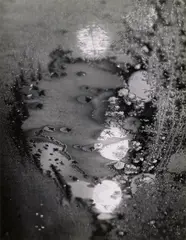 Beginnings by Minor White, 1962, Gelatin silver print, sold Oct 2023