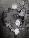 Minor White, Beginnings