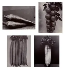Charles Jones, Selected Studies of Fruits and Vegetables, circa 1900-1902, Four gold toned printing-out-paper prints