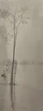 Alfred Stieglitz, Spring Showers, 1900, Photogravure on Japanese tissue, printed 1911, from Camera Work , No. 36