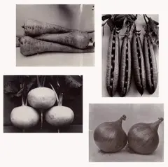 Charles Jones, Selected Studies of Vegetables, circa 1900-1902, Four gold toned printing-out-paper prints