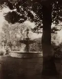 Eugène Atget, Champs-Élysées, circa 1923, Printing-out-paper print