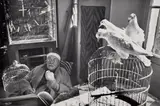 Henri Cartier-Bresson, Henri Matisse, Vence