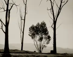Robert Adams, Edge of San Timoteo Canyon, Redlands, California, 1982, Gelatin silver print, printed 1999