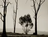 Robert Adams, Edge of San Timoteo Canyon, Redlands, California