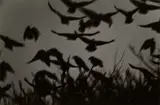 Masahisa Fukase, Kanazawa from Ravens, 1978, Gelatin silver print, printed 1998 by Masato Seto