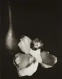 Horst P. Horst, Gold Vase with Flowers, Oyster Bay, NY