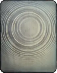 Adam Fuss, ARK, 2004, Unique daguerreotype photogram