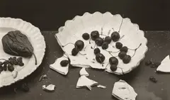Forgotten Fruit by Irving Penn, 1980, Platinum-palladium print, printed 1981. Accompanied by a copy of Irving Penn: Archaeology, sold Oct 2023