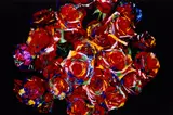 Nobuyoshi Araki, Painting Flower
