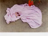 Stilleben Nüsschen II by Wolfgang Tillmans, 1997, Chromogenic print, printed 2023, offered Oct 2023
