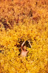 Ryan McGinley, Dogbane (Split), 2015, Chromogenic print, face-mounted to Plexiglas and flush-mounted