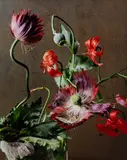Sharon Core, Untitled (Drama Queen), 2014, Archival pigment print