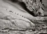 Chinstrap Penguins (Pygoscelis Antartica) on an iceberg located between Zavodovski and Visokoi Islands, South Sandwich Islands by Sebastião Salgado, 2009, Gelatin silver print, printed 2021, sold Oct 2023