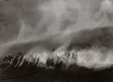Okavango Delta, Botswana, Africa (Zebras in dust field) by Sebastião Salgado, 2007, Gelatin silver print, sold Oct 2023