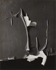 Minor White, Peeled Paint, Rochester, New York, 1959, Gelatin silver print