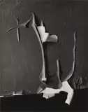 Minor White, Peeled Paint, Rochester, New York