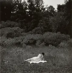 Eleanor, Port Huron by Harry Callahan, 1954, Gelatin silver print, sold Jan 2023