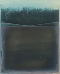 Bea Nettles, Pleasant Pasture II, 1969, Hand-tinted photographic image on linen, stuffed and stitched