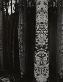 Jerry Uelsmann, Totemic Aspen