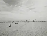 Harry Callahan, Cape Cod