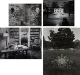 Jerry Uelsmann, Four Selected Images