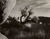 Brett Weston, Yucca Valley, California