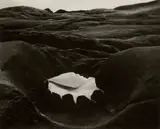 Edward Weston, Shell and Rock - Arrangement
