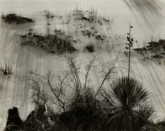 White Sands, New Mexico by Brett Weston, 1946, Gelatin silver print, sold Oct 2023