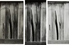 Three Selected Images: Splintered Door (Macedon, New York) by Minor White, 1957, Three gelatin silver prints, sold Oct 2023