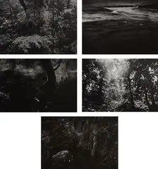 Five Selected Images by Thomas Joshua Cooper, 1981-1997, Five gelatin silver prints, sold Oct 2023