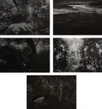 Thomas Joshua Cooper, Five Selected Images, 1981-1997, Five gelatin silver prints