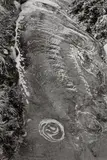 Brook in Nara by Henri Cartier-Bresson, 1965, Gelatin silver print, printed later, sold Oct 2023