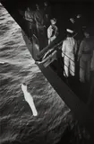 W. Eugene Smith, Burial at Sea, from the U.S.S. Bunker Hill Marshall Islands Campaign