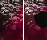 Walead Beshty, Two works: (i) Travel Picture Rose [Tschaikowskistrasse 17 in multiple exposures* (LAXFRATHF/TXLLCPHSEALAX) March 27-April 3, 2006}, 2007-2008 * Contax G-2, L-3 Communications eXaminer 3DX 6000, and InVision Technologies CTX 5000 from the series Travel Pictures ; (ii) Travel Picture Rose [Tschaikowskistrasse 17 in multiple exposures* (LAXFRATHF/TXLLCPHSEALAX) March 27-April 3, 2006}, 2007-2008 * Contax G-2, L-3 Communications eXaminer 3DX 6000, and InVision Technologies CTX 5000 from the series Travel Pictures