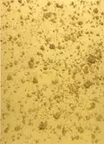 Bosco Sodi, Golden Painting, 2015, mixed media on canvas