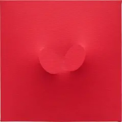 Turi Simeti, 2 ovali rossi, 2015, acrylic on shaped canvas