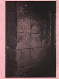 Adam McEwen, Untitled, 2014, inkjet print on cellulose sponge, mounted on aluminum panel