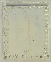Josephine Halvorson, Metallic Plate (Top), 2010, oil on linen