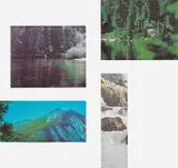Nick Darmstaedter, Kools Comp 2, 2014, silkscreen on primed canvas over panel, in 4 parts