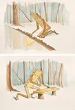 Sean Landers, Two works: (i) Plankboy (Narcissus) ; (ii) Plankboy (Pygmalion), 2019, gouache and ink on paper