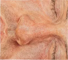 Ellen Altfest, Side Face, 2011, watercolor on paper