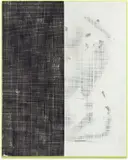 Michiel Ceulers, The degenerated instinct which turns against life