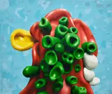 Alexander Ross, Untitled, 2011, oil on canvas