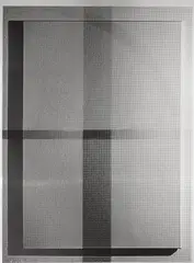 Nathan Hylden, Untitled, 2010, acrylic on aluminum