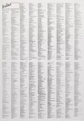 Lucien Smith, Rock 'n Roll from the series Ark, 2013, silkscreen on canvas