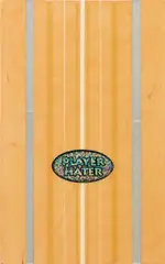Peter Dayton, Player Hater #1, 2008, gesso and paper decal on birch panel with resin