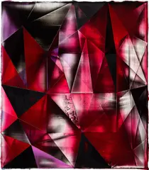 Shannon Finley, Evermore, 2012, polymer resin on canvas