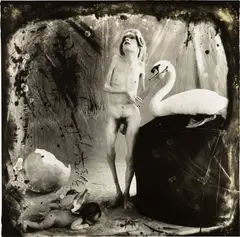 Leda (Los Angeles) by Joel-Peter Witkin, 1986, toned gelatin silver print, sold Jul 2023