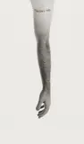 Douglas Gordon, Tattoo I